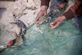 هشدار جهانی درباره قحطی در غزه