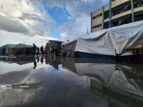 غزه همچنان در معرض جنگ نسل‌کشی