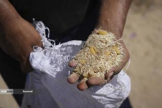 مردم گرسنه غزه برای رسیدن به کمک‌های غذایی، کیلومترها پیاده‌روی می‌کنند