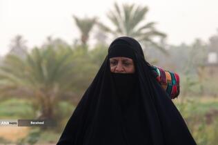 زائران اربعین حسینی