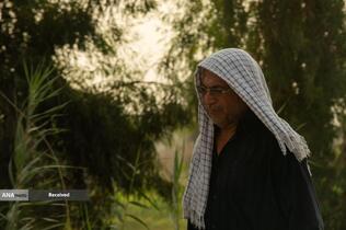 زائران اربعین حسینی