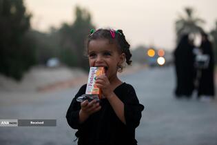 زائران اربعین حسینی