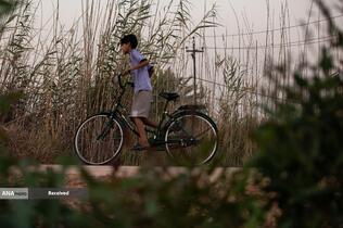 زائران اربعین حسینی