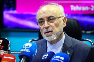 علی اکبر صالحی رئیس کارگروه علمی جایزه مصطفی(ص)