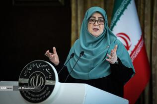 فاطمه مهاجرانی سخنگوی دولت