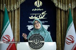 فاطمه مهاجرانی سخنگوی دولت