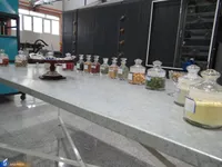 ۵۵ سرای نوآوری دانشگاه آزاد در چه حوزه‌هایی فعال هستند؟