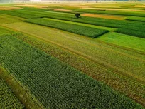 رفع ۹۲ درصدی تداخلات اراضی در کشور