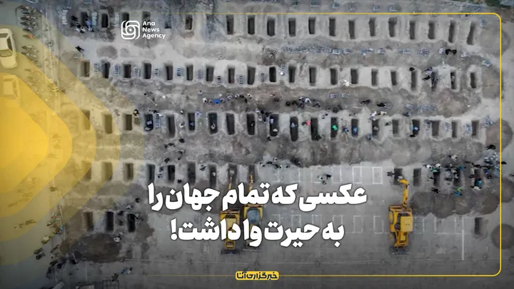 عکسی که تمام جهان را به حیرت وا داشت!