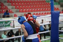 لیگ برتر بوکس| رعد پدافند ارتش قهرمان شد/ تهران دوم و عقاب اصفهان سوم شد