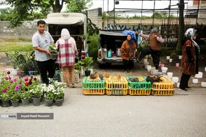 جمعه&zwnj; بازار &laquo;جویبار&raquo;