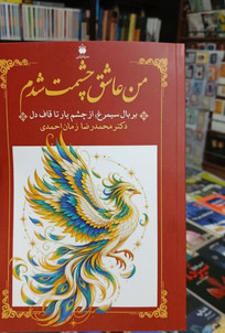 کتاب &laquo;من عاشق چشمت شدم&raquo; اثر مدرس دانشگاه آزاد اسلامی کاشان منتشر شد