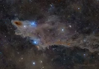 مه شارک، آیکونی از تخیلات انسانی