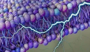 خلايا الإنسان تتحول إلى مولد كهربائي صغير؛ آفاق جديدة للطب والتقنية