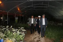 نمایشگاه دانش‌بنیان گیاهان زینتی و آپارتمانی در زاهدان گشایش یافت