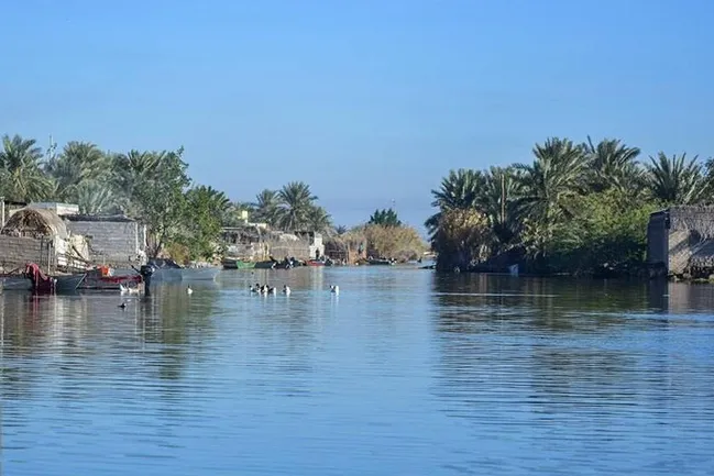 تالاب شادگان به مرز پرآبی رسید
