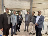 شرکت‌های صنایع کاشی و سرامیک به‌صورت دانش‌بنیان پذیرش می‌شوند