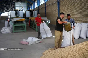 تولید برای محرومیت زدایی - باغ پسته