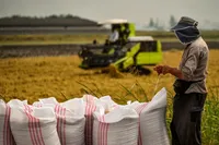 مقاومت بخش کشاورزی ایران در گذر مکانیسم ماشه/راهکارهای نوآورانه برای پویایی صادرات و واردات