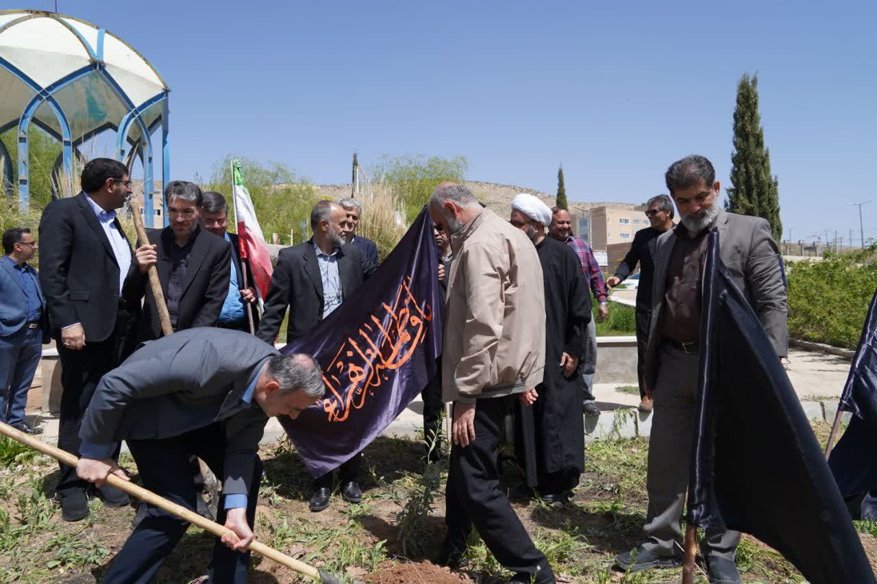 کاشت نهال، تجلی احترام به شهدا و ترویج فرهنگ طبیعتدوستی کاشت نهال، تجلی احترام به شهدا و ترویج فرهنگ طبیعتدوستی