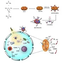 Nanocatalyst enhances destruction of cancer cells