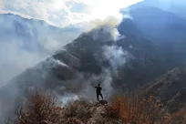 ۵ مصدوم در پی آتش‌سوزی جنگل‌های الیت