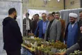 رویداد صدرا در واحد خوی