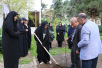 غرس نهال امید به همت معاونت فرهنگی دانشجویی دانشگاه آزاد اسلامی واحد علوم پزشکی مشهد