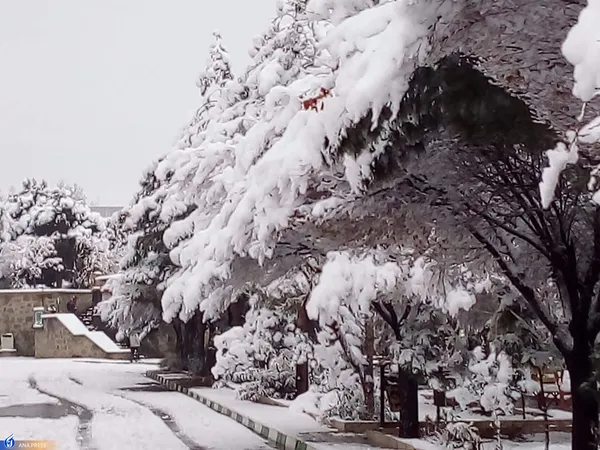 دانشگاه آزاد اسلامی واحد قم در یک روز برفی
