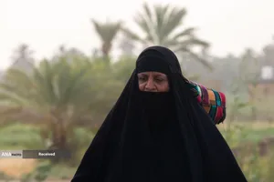 زائران اربعین حسینی