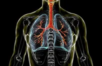Diet quality linked to better lung health
