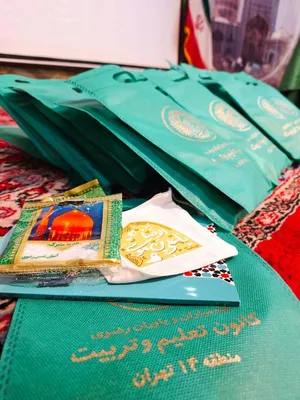 فعالیت خادمیاران و یاوران رضوی منطقه دارالمومنین تهران 