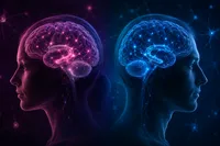 مغز زنان از یک مسیر منحصر به فرد برای ذخیره خاطرات ترس استفاده می‌کند
