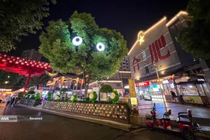 درختی با چشم در منطقه فرهنگی و خلاقانه در شهر هفی استان آنهویی، چین 