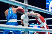 بوکس جام الوردا| حذف شه‌بخش و طهماسبی/ حبیبی نژاد و صفری فردا روی رینگ می‌روند