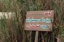 جنوب-سفری-که-بازگشت-ندارد-روایت-دانشجومعلمان-از-راهیان-نور