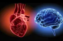 Study links heart health to early Alzheimer’s risk