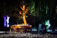 جشنواره نور در یلدای ایرانی