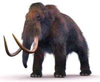Scientists Recover 40,000-Year-Old Mammoth RNA Still Packed with Clues