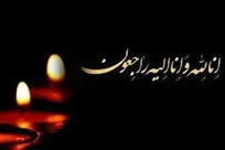 پیام تسلیت دبیر شورای عالی انقلاب فرهنگی به شمس‌بخش در پی شهادت دخترش