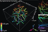 نمایی تازه از دنیای مولکولی با میکروسکوپ سه‌بعدی