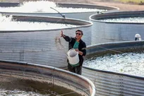 اجرای بیش از ۳۰ هزار طرح اشتغال‌زایی در مناطق محروم توسط ستاد اجرایی فرمان امام