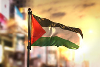 وکیل فلسطینی&zwnj;تبار از انفال سازمان ملل در تحولات اخیر منطقه&zwnj;ای انتقاد کرد