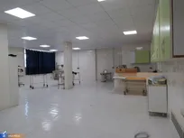 پیشگامی دانشگاه آزاد در درمان بیماری‌های مشترک انسان و دام