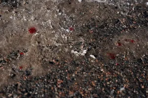 سرکوب معترضان و حوادث مرگبار در مینیاپولیس و دیگر ایالات متحده آمریکا توسط پلیس