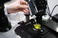 new-nanosenors-detect-brain-cancer-types-with-high-accuracy-and-low-cost