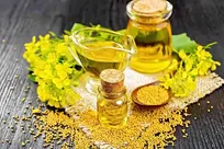 ثبت سفارش سیستمی روغن خام و پالم از ۱۰ تیر آغاز می‌شود/ ادامه حذف سقف سابقه واردات