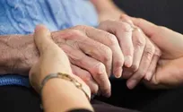 Bee venom may boost Parkinson’s treatment