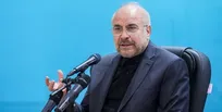 رئیس مجلس: دولت و ملت ‌از ‌خودروسازان ‌ضربه خورده‌اند/ جوانان باید پیش‌قراولان حوزه دانش‌بنیان و اقتصاد باشند