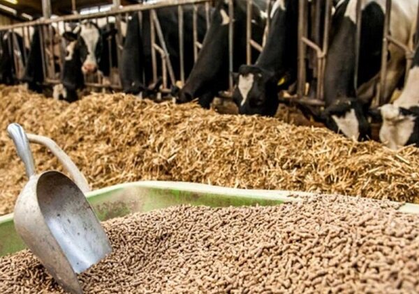 بببببببببببببببب